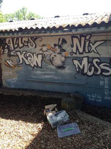Montessori Zentrum Hofheim Graffiti Workshop 2015
