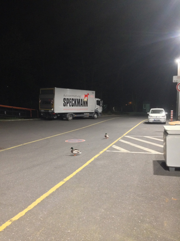 Live Graffiti Art for 30th anniversary itelligence Mitsubishi hall, Düsseldorf, Germany 2019.