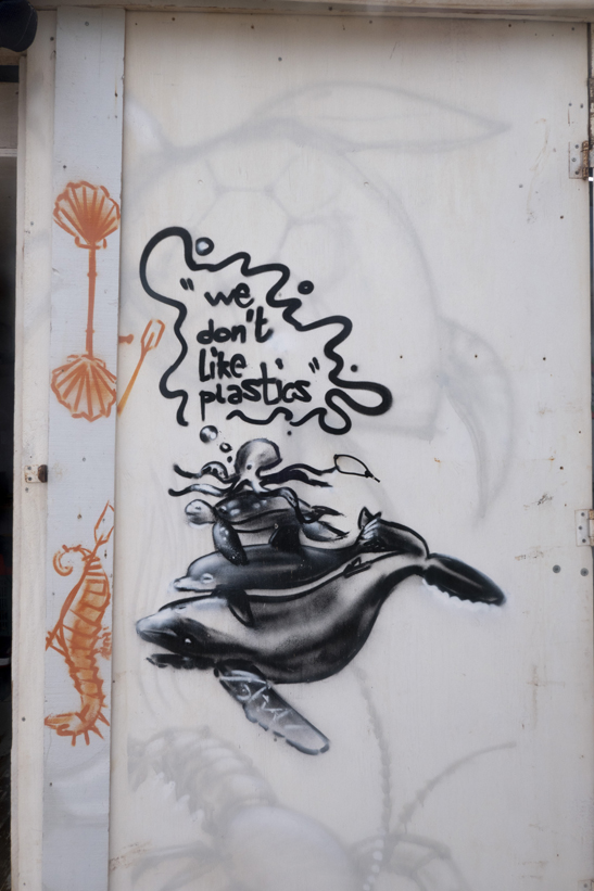 Wet4fun Sailing station Formentera, Baleares, 2018